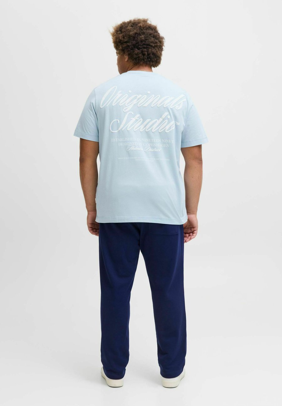 

Футболка Jack & Jones JORNORREBRO TYPO, Skyway/Light Blue, Синий, Футболка Jack & Jones JORNORREBRO TYPO, Skyway/Light Blue