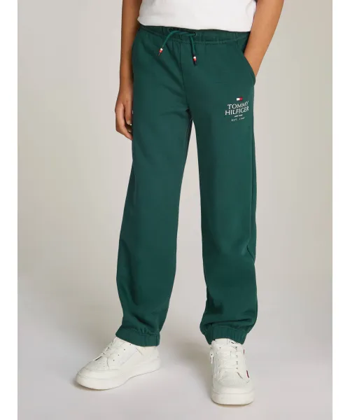 

Спортивные штаны Regular fit Tommy Hilfiger, зеленый