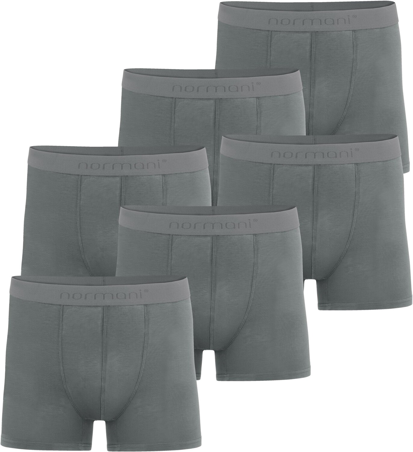 

Боксеры normani 6 Herren Boxershorts aus Bambus-Viskose Cubao, антрацит