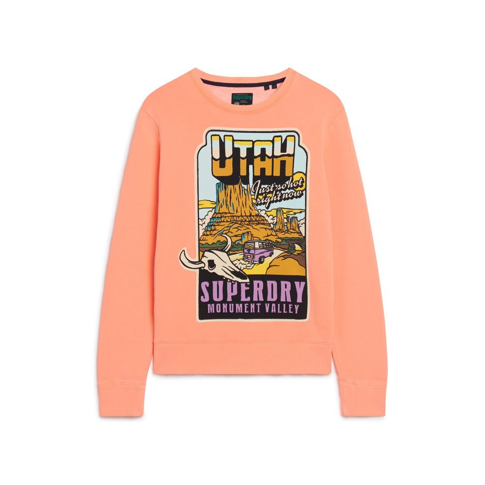 

Толстовка Superdry Neon Travel Loose, оранжевый