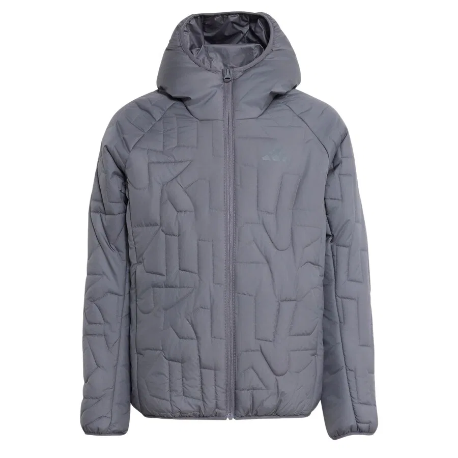 Куртка ADIDAS TERREX Outdoor 'Xperior' серого цвета