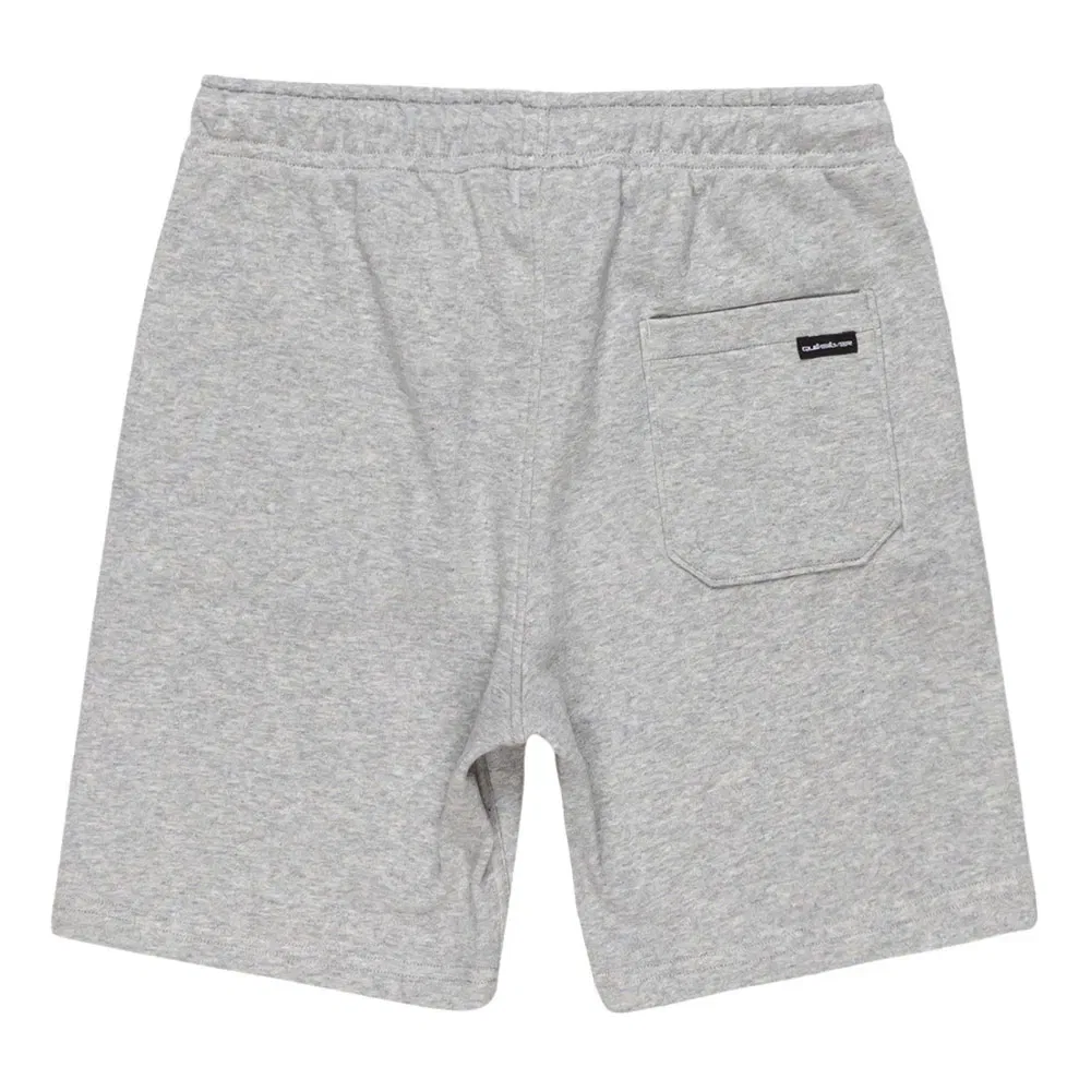Детские шорты для мальчиков из футера Easy Day Quiksilver, Grey — фото 4