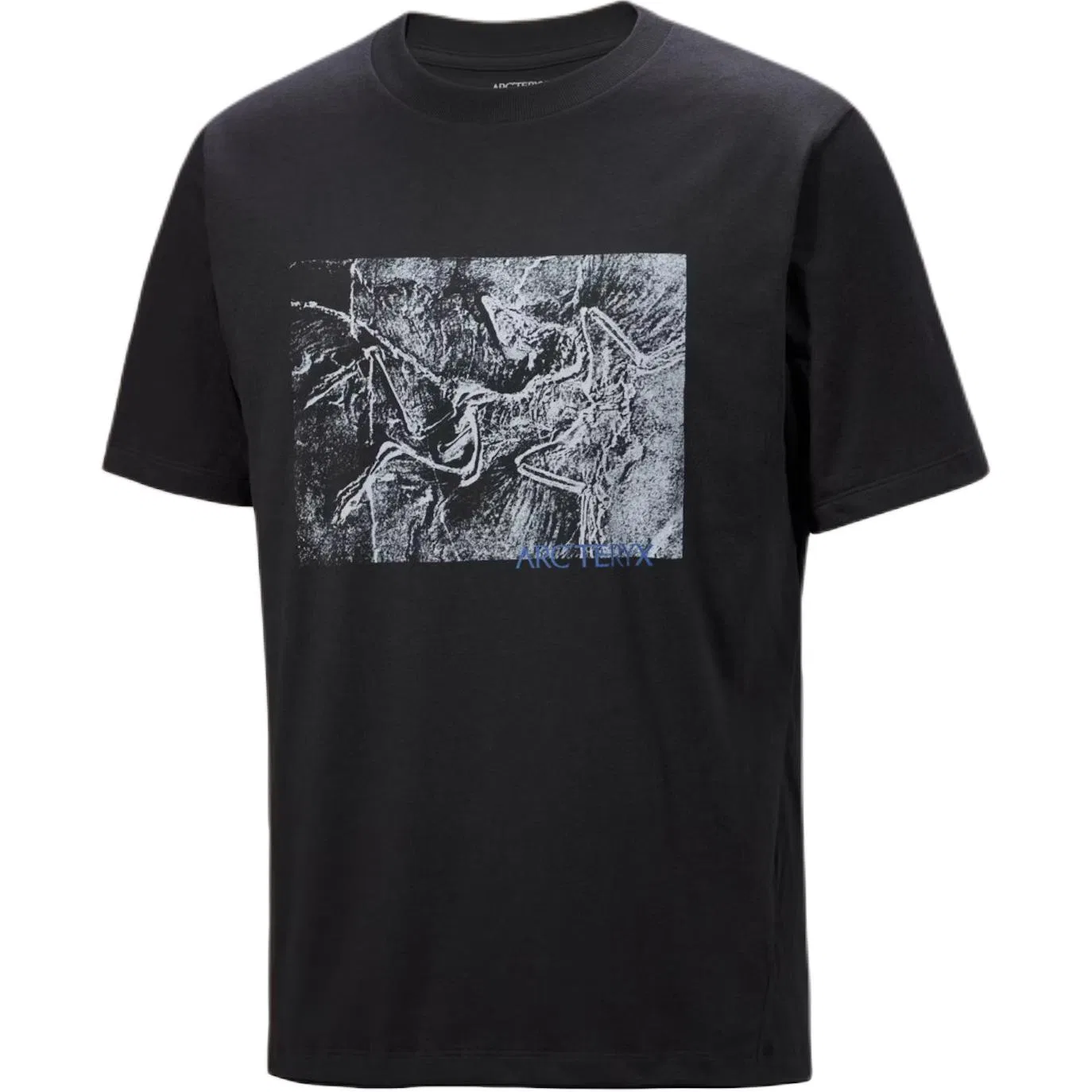 Мужская футболка с принтом Kragg Graphic Arcteryx, Lt Moondrop — фото 4