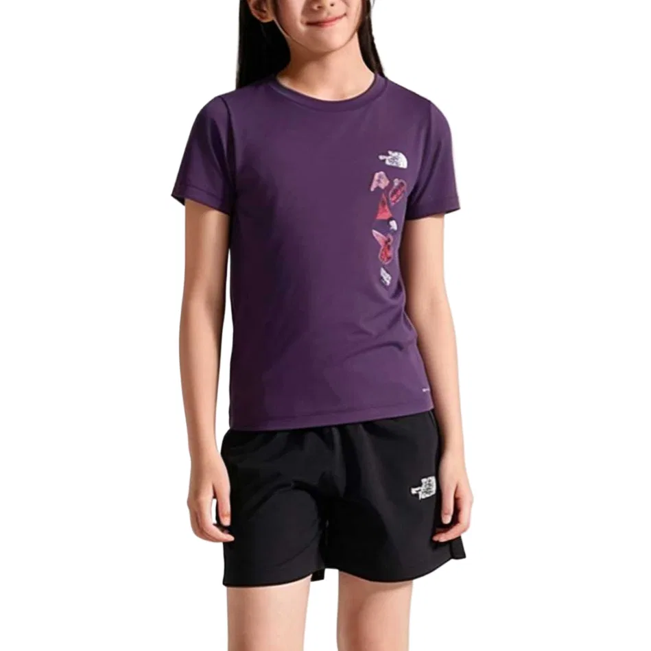 Футболка с круглым вырезом для детей, тонкая, THE NORTH FACE, Long Dusk Purple
