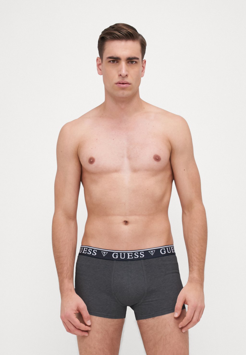

Боксеры-брифы TRUNK 5 PACK Guess, мультиколор
