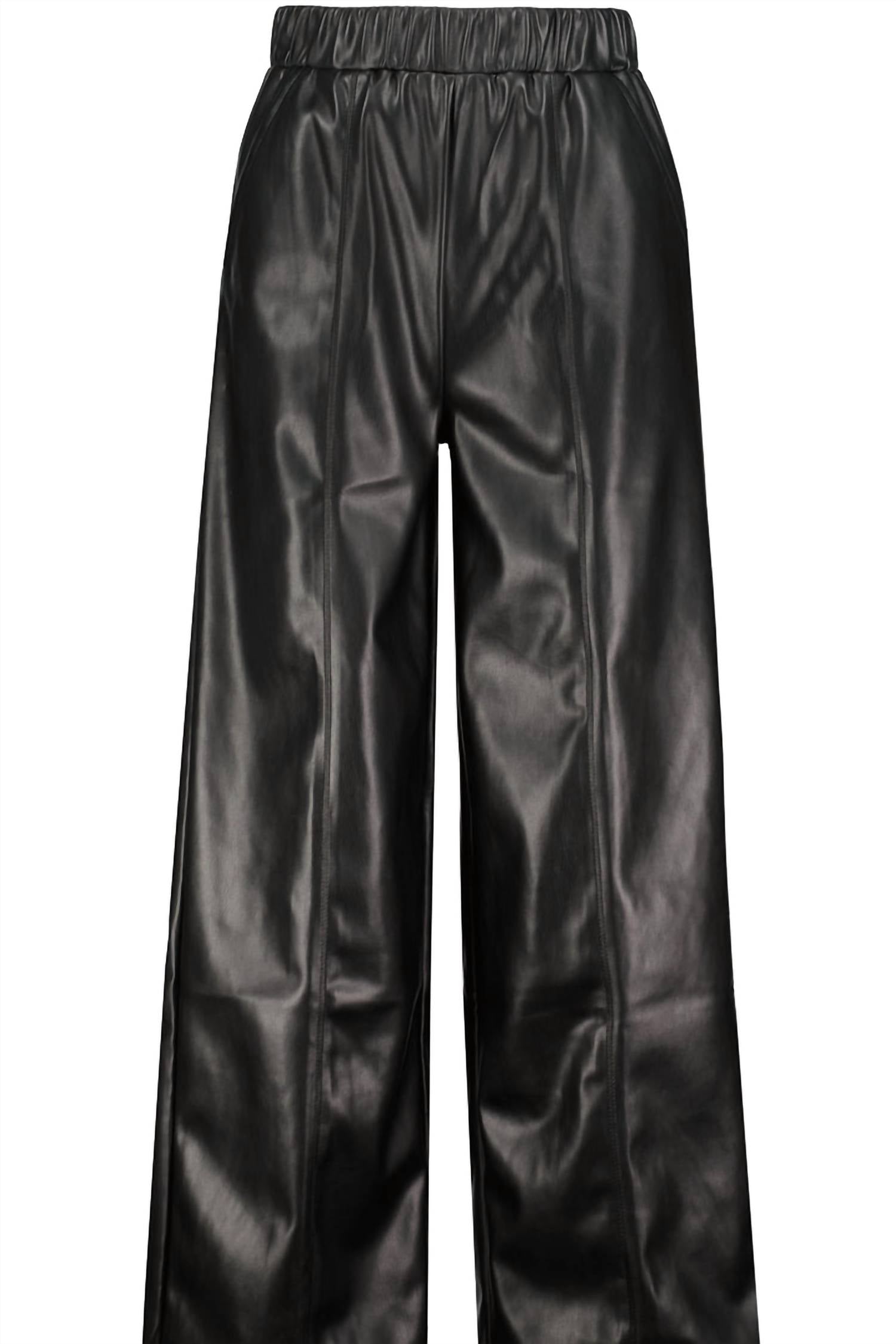 

Женские брюки Gia Vegan Leather Pant черного цвета bishop + young