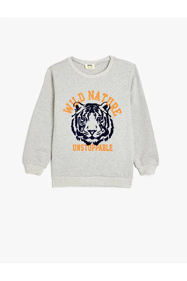 Детские свитшот для мальчиков с принтом Tiger Embossed Printed Raised Koton, Gray