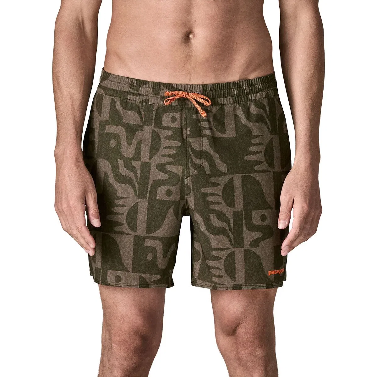 Мужские шорты с четырехсторонней растяжкой Hydropeak 16in Volley Short Patagonia, Mother Tree: Basin Green