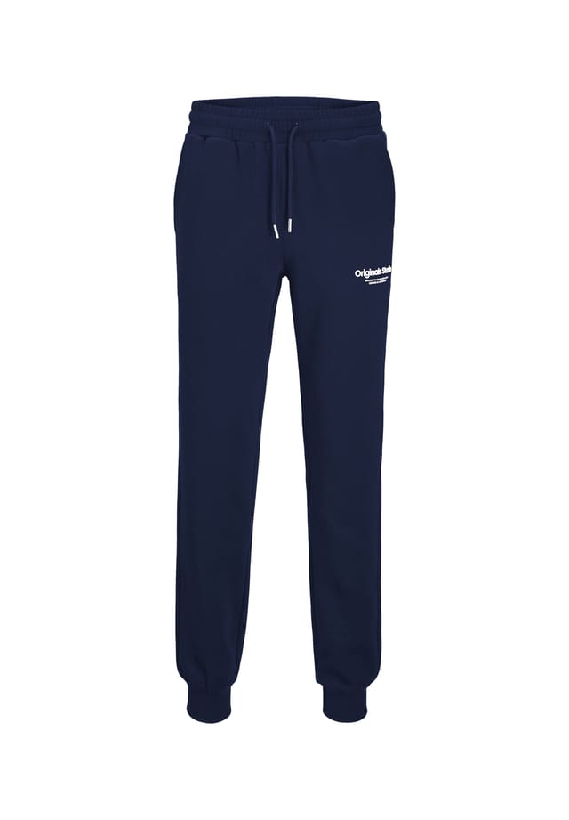 

Спортивные штаны Гордона Jack & Jones, синий