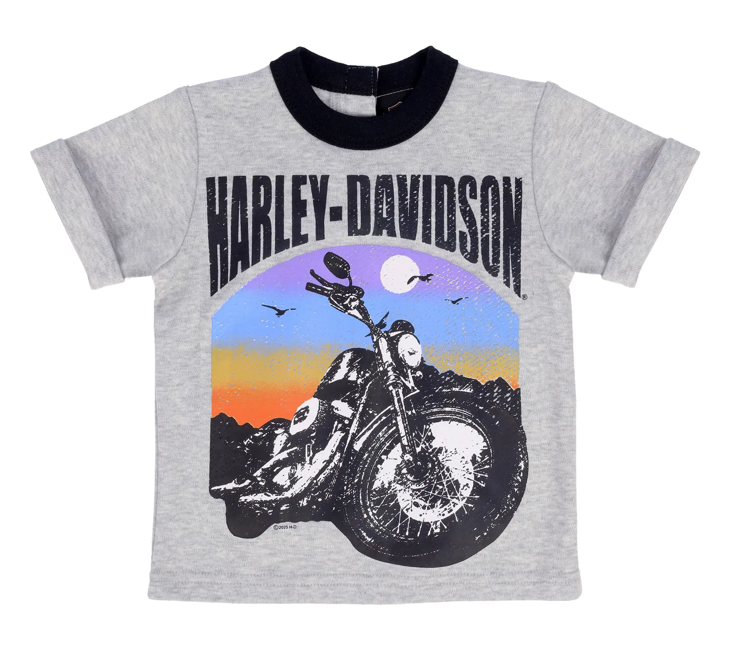 Детский трикотажный комплект с принтом Toddler Boys Knit Short Set Harley Davidson, Grey Heather/Black — фото 3