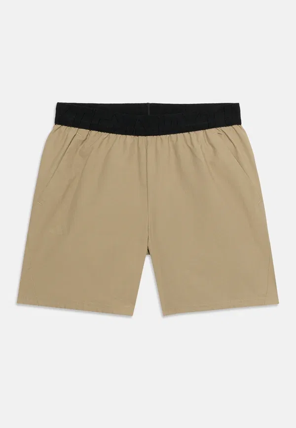 Шорты Adidas Terrex, хаки