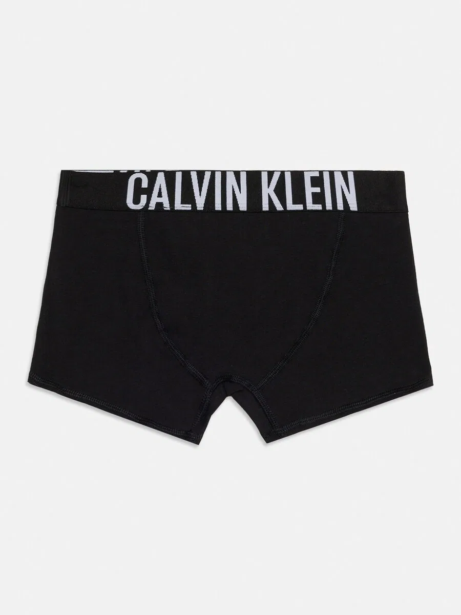 Трусы Calvin Klein Underwear Regular Underpants с логотипом на поясе, черные — фото 2