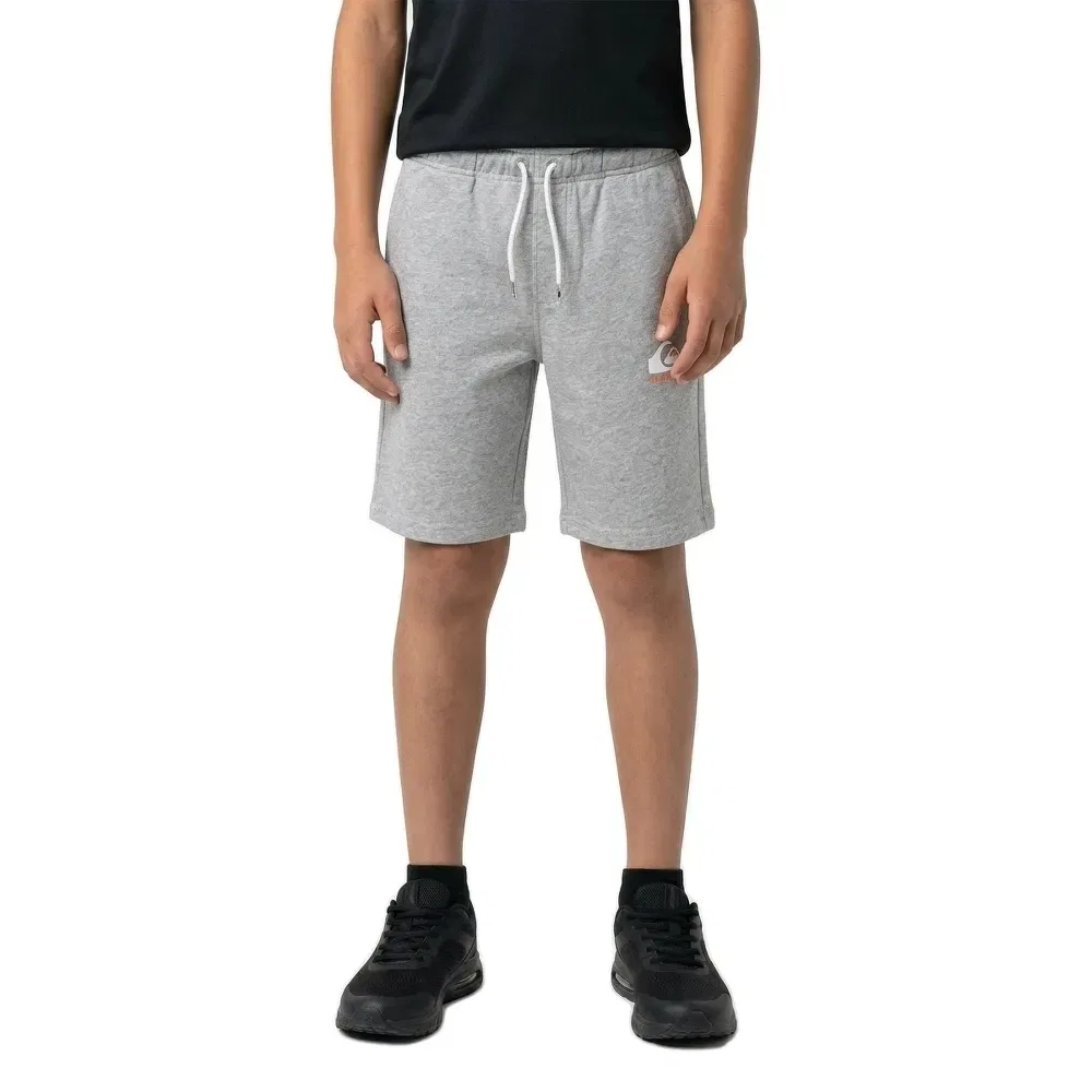 Детские шорты для мальчиков из футера Easy Day Quiksilver, Grey