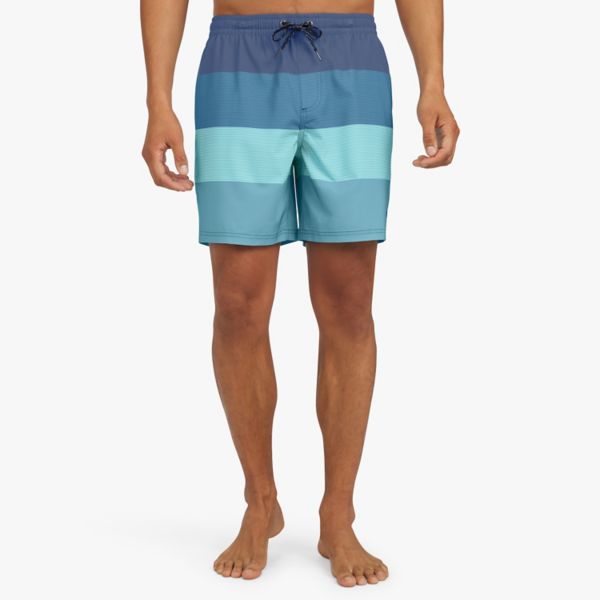 

Мужские плавки Horizon длиной 16,5 см Quiksilver, синий