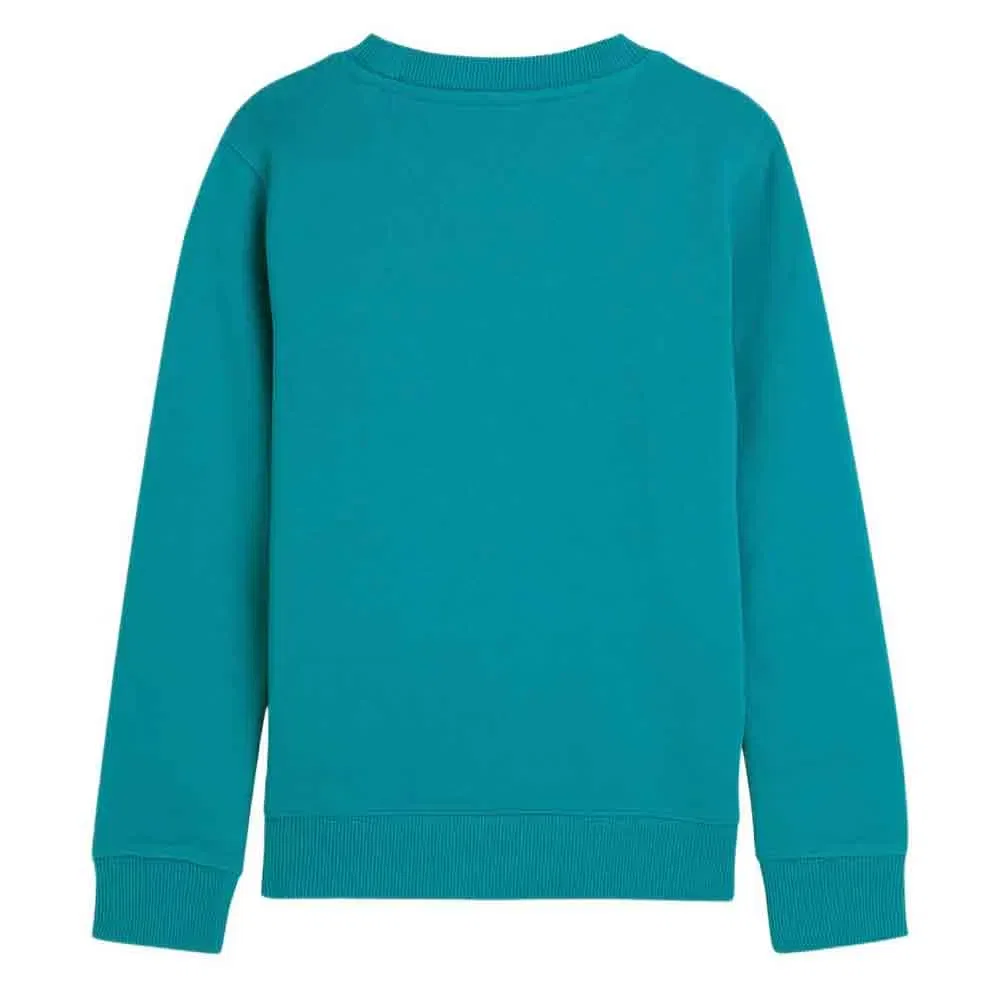 Детский свитшот для мальчиков с логотипом Scotch & soda, Green — фото 2