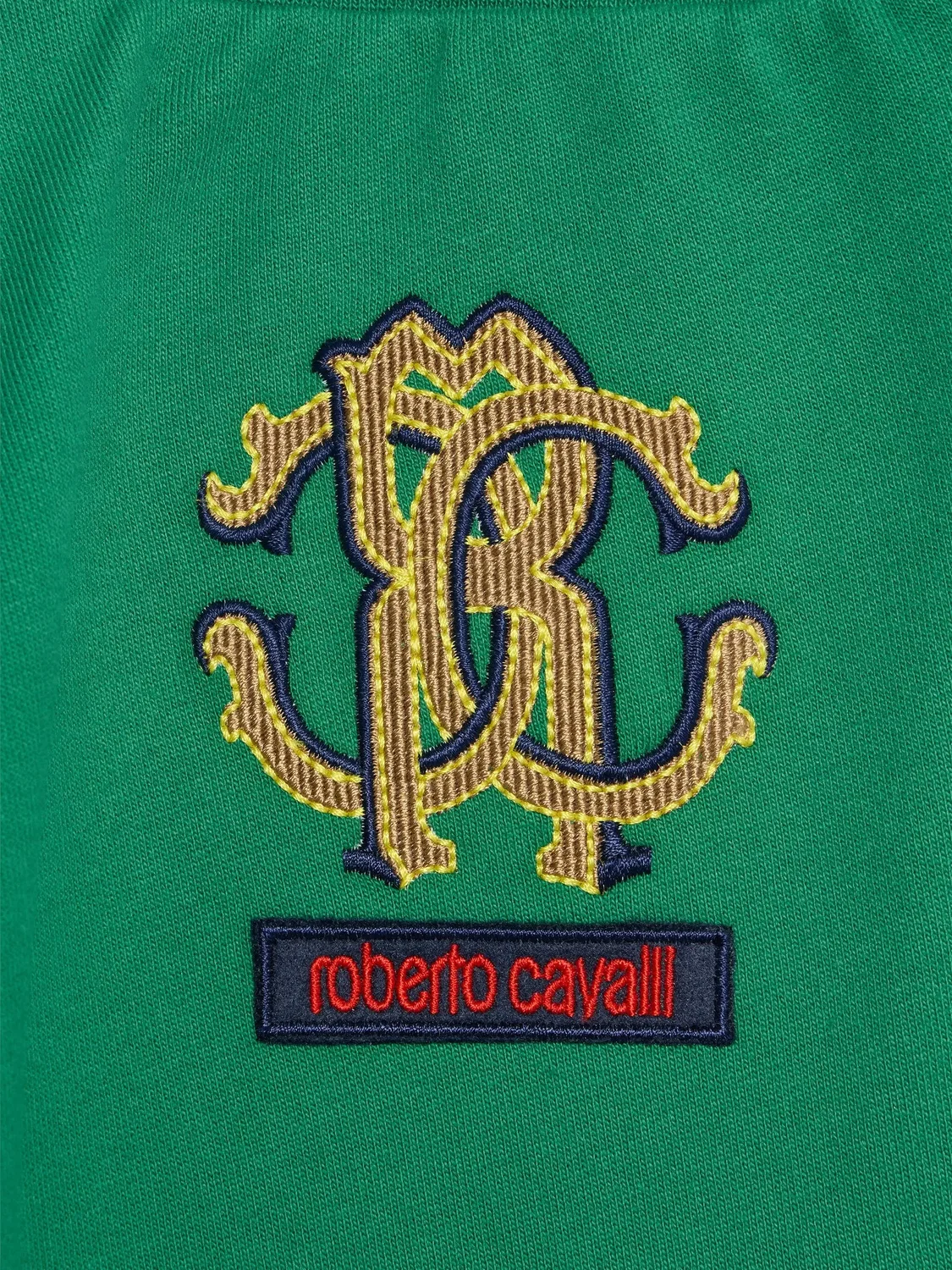 Трековые брюки с монограммой зеленые Roberto Cavalli, зеленый — фото 2
