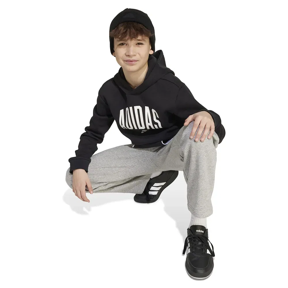 Худи Adidas Seasonals Essentials Collegiate Typography, черный — фото 3