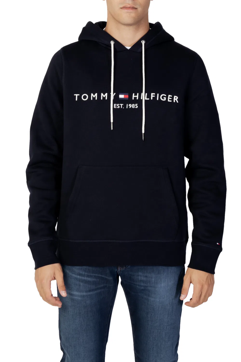 Мужской свитшот с принтом и капюшоном Tommy Hilfiger, Blue