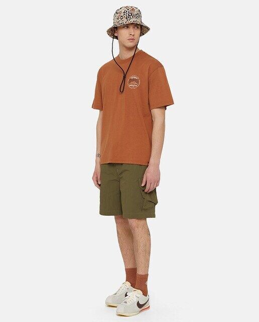 

Мужские шорты Dickies, зеленый