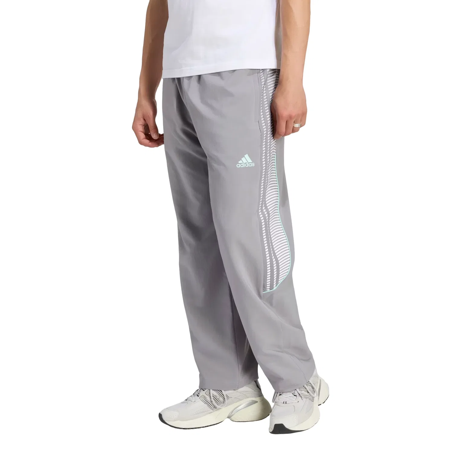 Мужские спортивные штаны с длинным рукавом Adidas x Coca-Cola Teamgeist 26 Trackpant, серый — фото 2