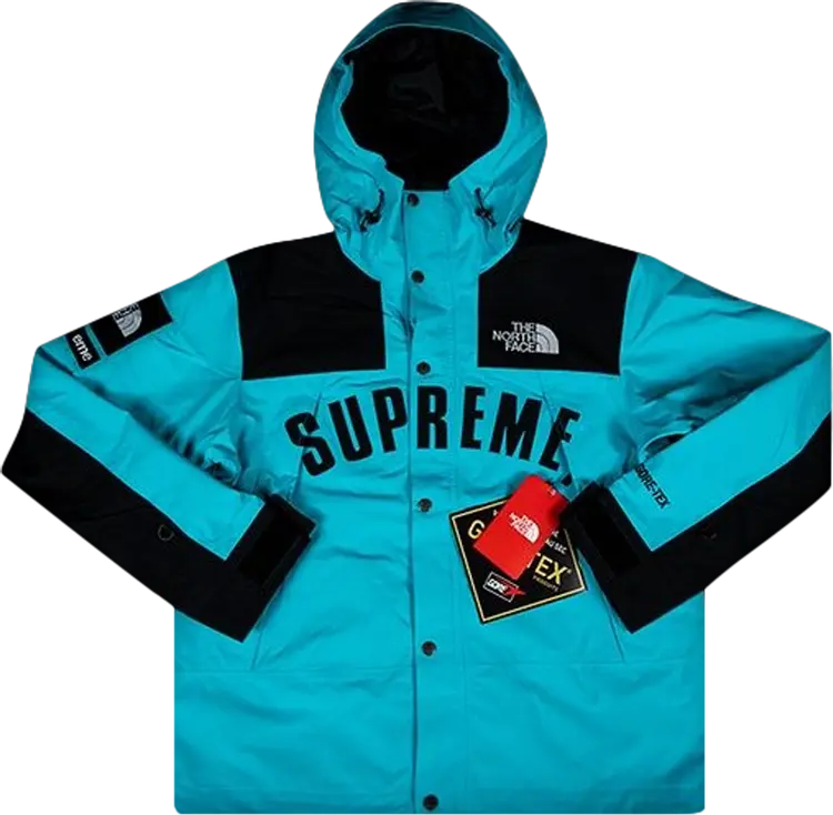 

Парка Supreme x The North Face Arc Logo Mountain Parka 'Teal', бирюзовый, Зеленый, Парка Supreme x The North Face Arc Logo Mountain Parka 'Teal', бирюзовый