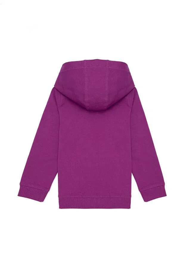 Детские свитшот для девочек с капюшоном U.S. Polo Assn., Violet — фото 4