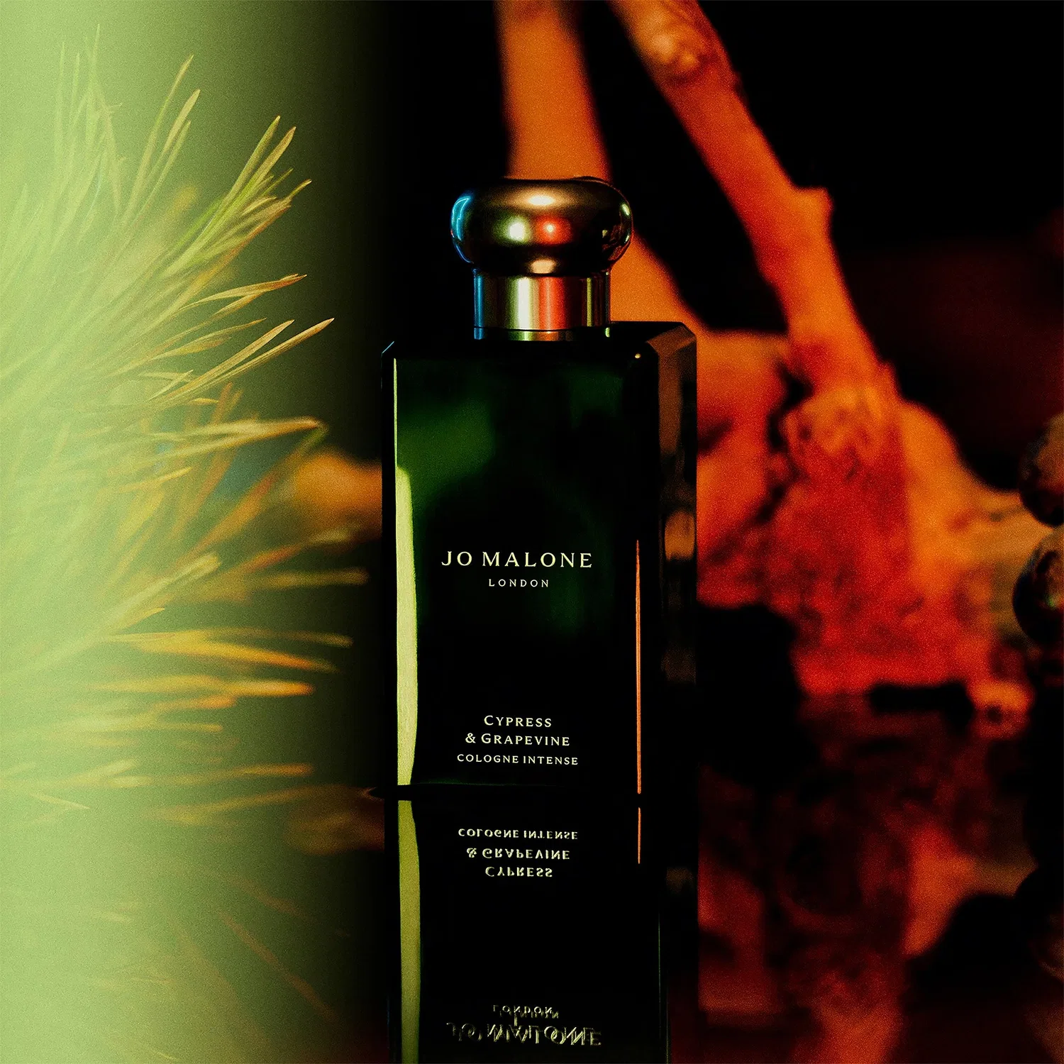 Парфюмерная вода Jo Malone London Cypress and Grapevine Cologne Intense, 50 мл — фото 3