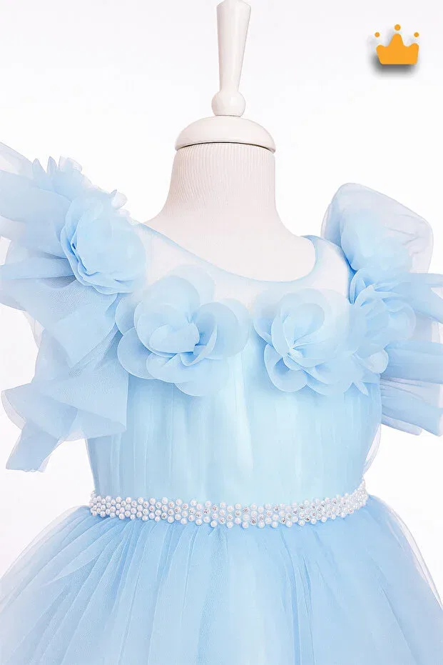 Детское платье для девочек с коротким рукавом Rose Detailed Minimony, Blue — фото 4