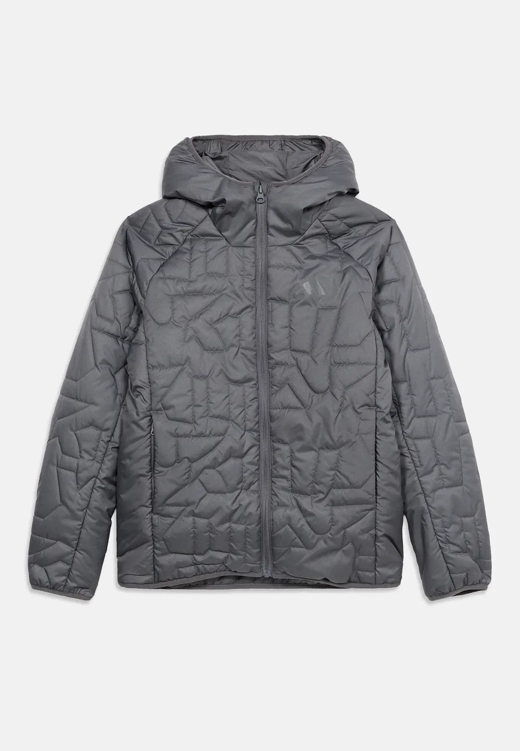 Утепленная куртка K xpr - легкая куртка Adidas Terrex, Grey — фото 3
