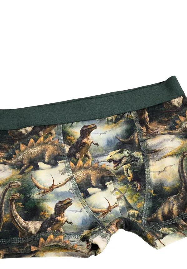 Трусы с принтом динозавры Justin 2 pack, Molo, Dino Harmony — фото 3
