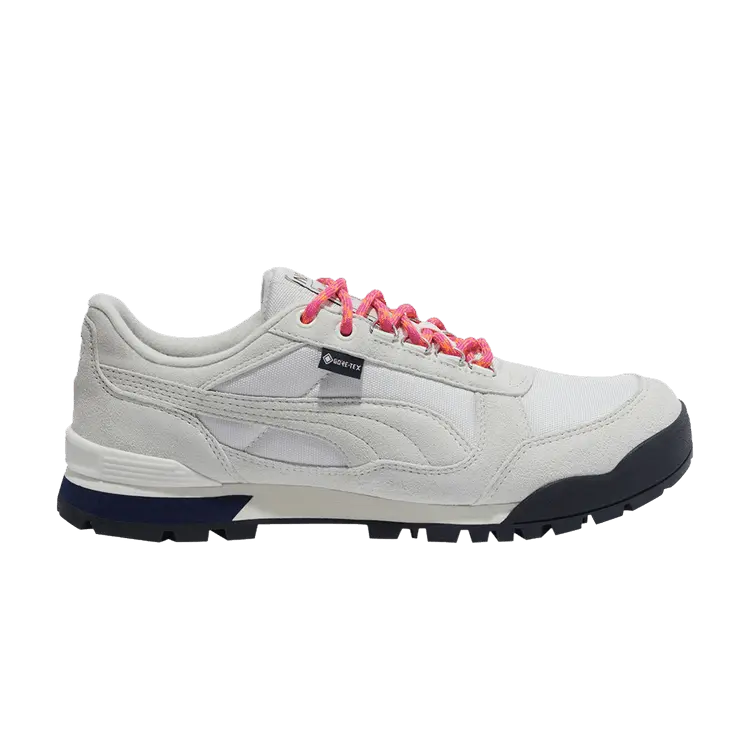 

Кроссовки Noah x RDR Low GORE-TEX 'Warm White Vapor Grey', серый