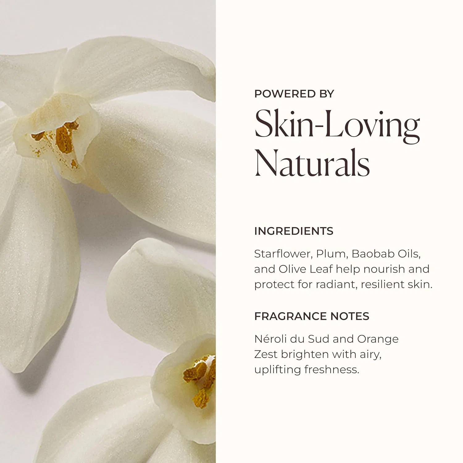 Крем для тела Serum Body Cream, Laura Mercier, 200 мл, Neroli du Sud — фото 4