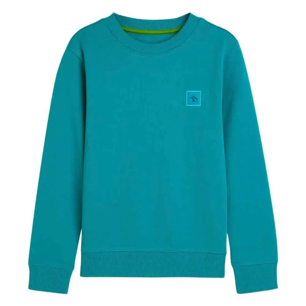 Детский свитшот для мальчиков с логотипом Scotch & soda, Green