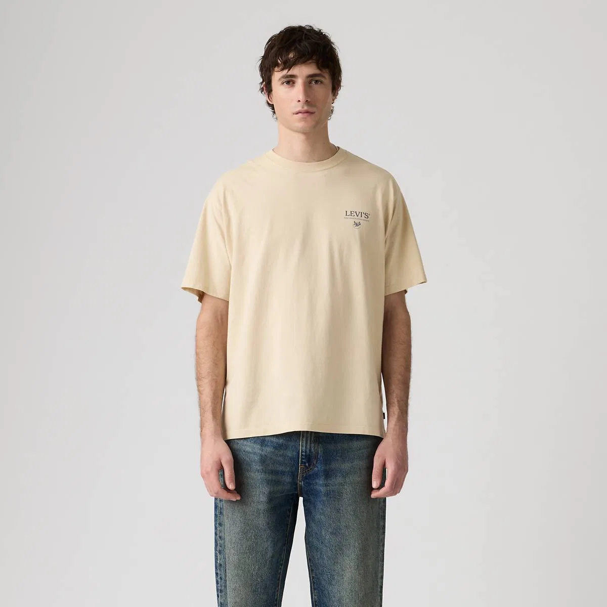 Свободная футболка в винтажном стиле с графическим принтом Levi's, Levis Botanical 2 Castle Wall - Tan — фото 4