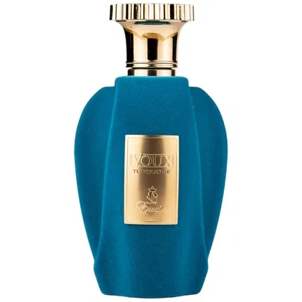 Парфюмерная вода Paris Corner Emir Voux Turquoise, 100 мл