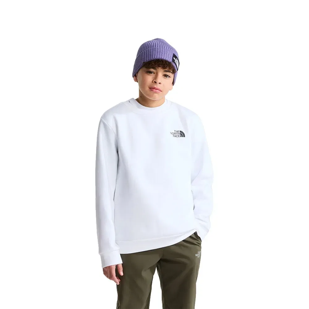 Детский свитшот для девочек с принтом Evolution Box NSE The north face, White
