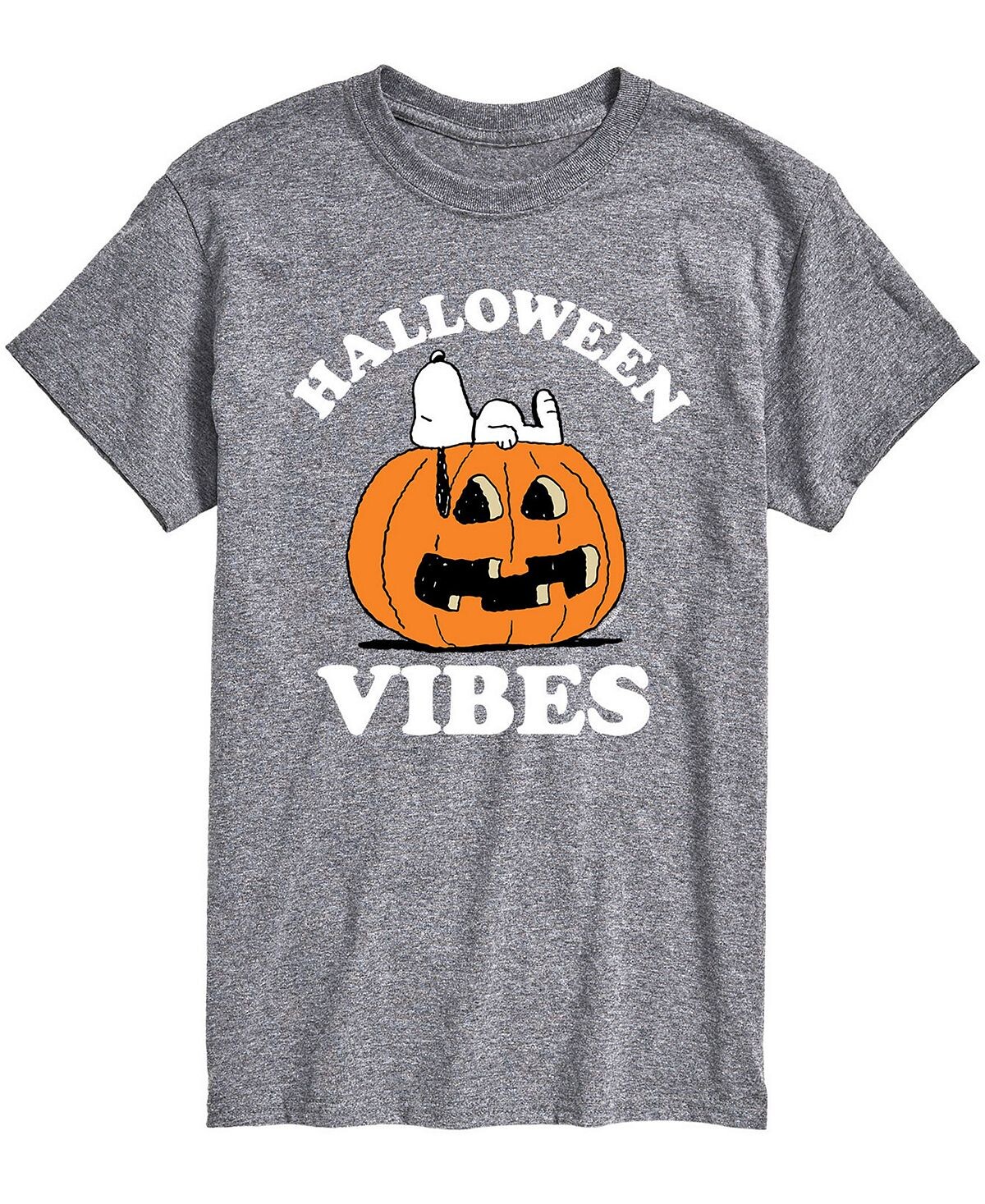 

Мужская футболка peanuts halloween vibes AIRWAVES, серый