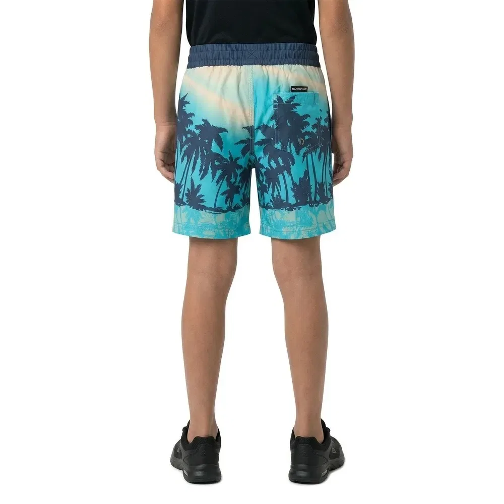 Плавки Everyday Printed Volley 13´´ Quiksilver, синий — фото 4