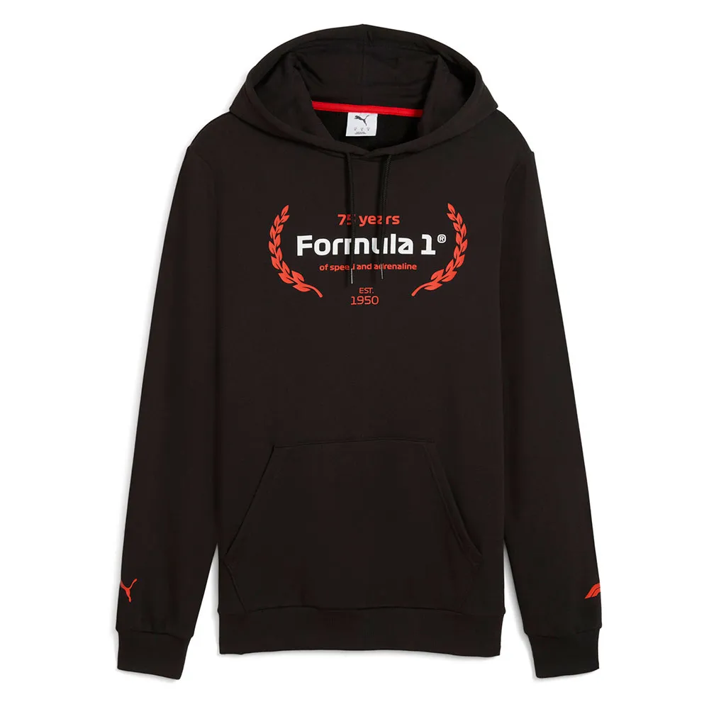 

Худи Puma F1 ESS Logo Graphic, черный
