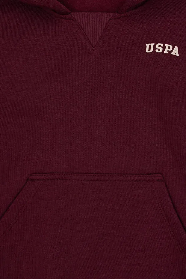 Детское худи для мальчиков с капюшоном U.S. Polo Assn., Plum — фото 4