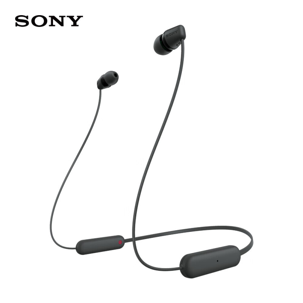 

Наушники беспроводные Sony WI-C100, черный