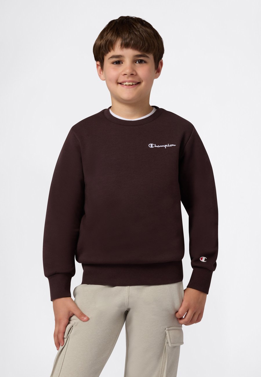 

Толстовка Champion ICONS CREW NECK , Chocolate Ganache/Bordeaux