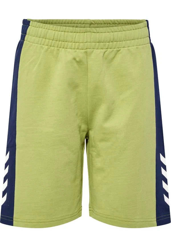 Спортивные шорты hmlrush block Hummel, Green Olive