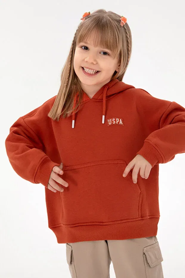 Детское худи для девочек базовое U.S. Polo Assn., Tile