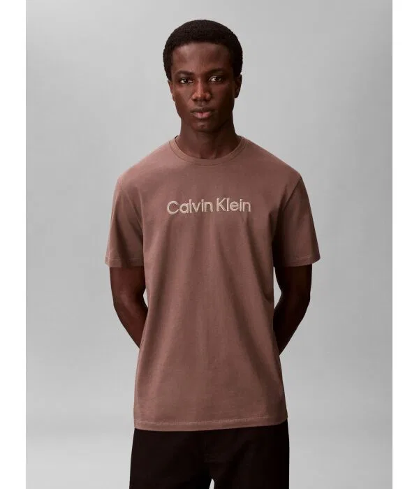 Мужская футболка хлопковая Regular Fit Calvin Klein, коричневый