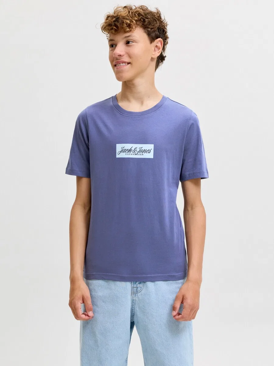 Детская футболка Jack & Jones Junior 'JORNORREBRO' синего и светло-голубого цвета