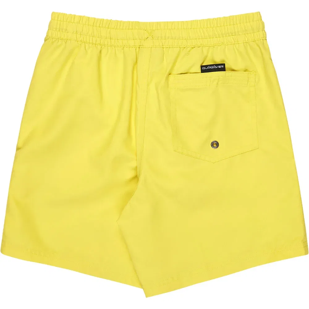 Шорты для плавания Everyday Malibu Volley 14'' Quiksilver, желтый — фото 2