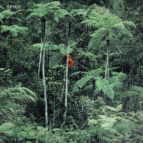

Виниловая пластинка Spice: Spice - Grey