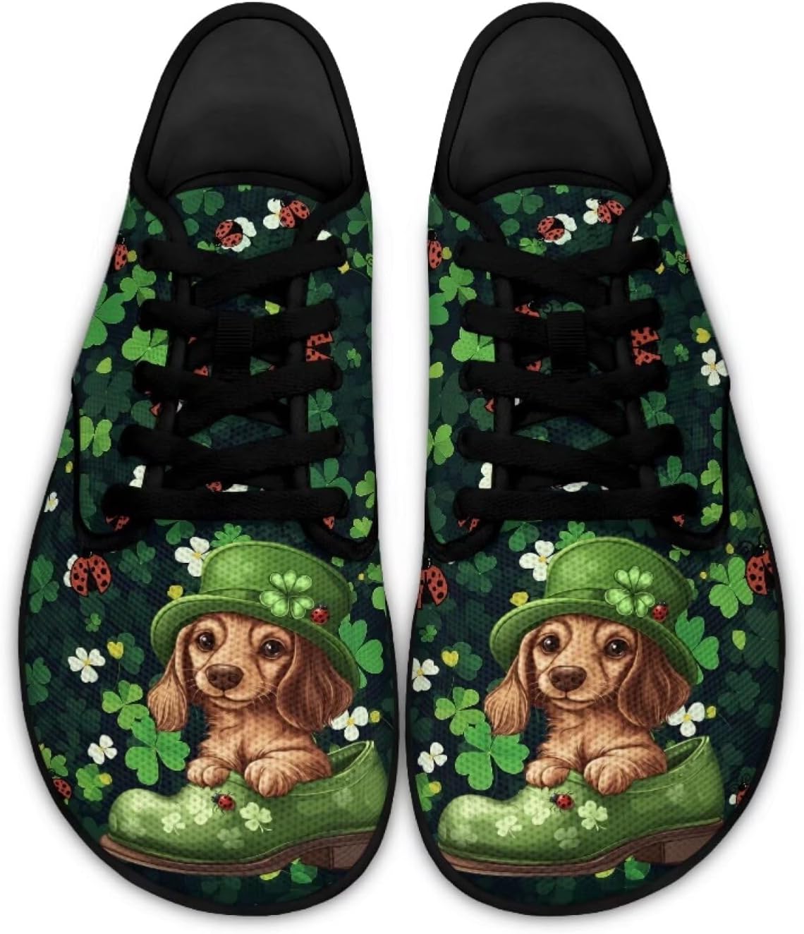 

Кеды Binienty на шнуровке для ходьбы, St. Patrick's Day Dachshund Ladybugs