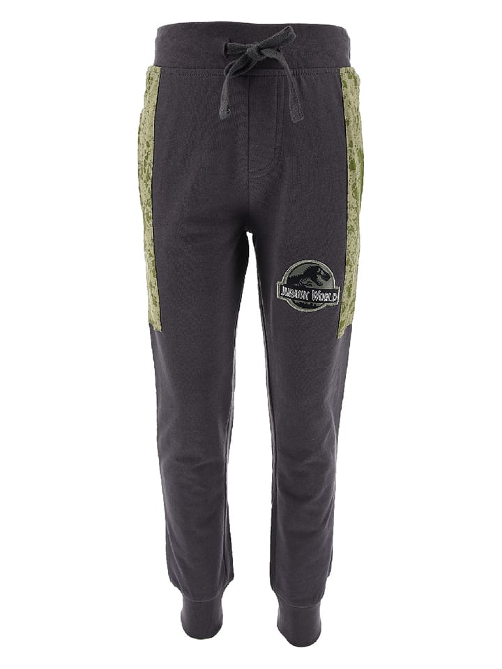 

Спортивные брюки Jurassic World, антрацит